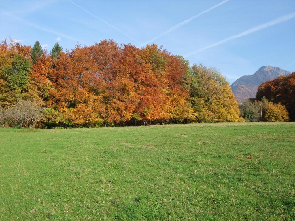 Le Domaine Du Grand Cellier Chambres D'Hotes En Savoie Tournon Bagian luar foto